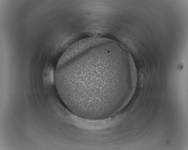 X0000091980042200709201436