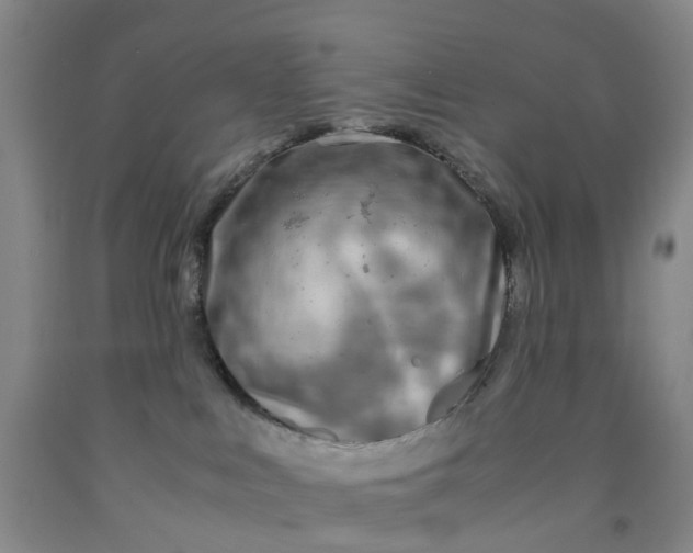 X0000091980043200709201436