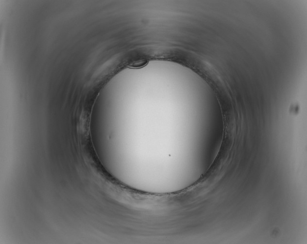 X0000091980044200709201436