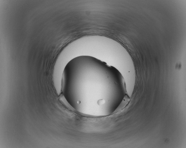 X0000091980045200709201436