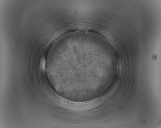 X0000091980046200709201436