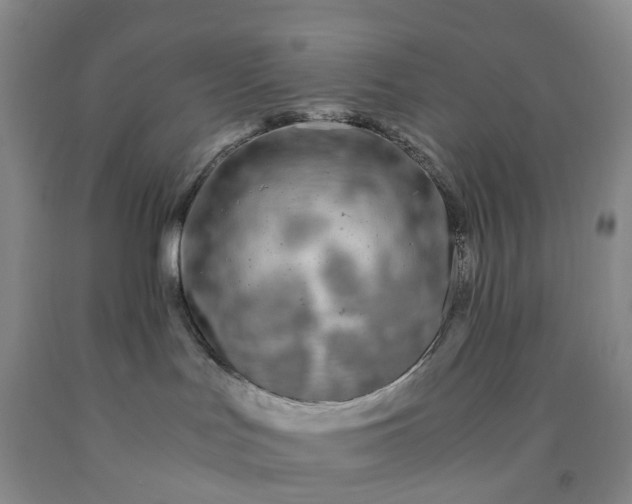 X0000091980047200709201436