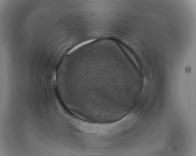 X0000091980048200709201436