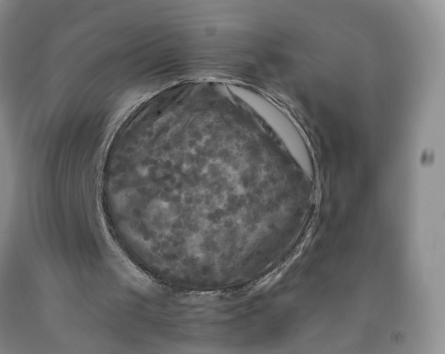 X0000091980049200709201435