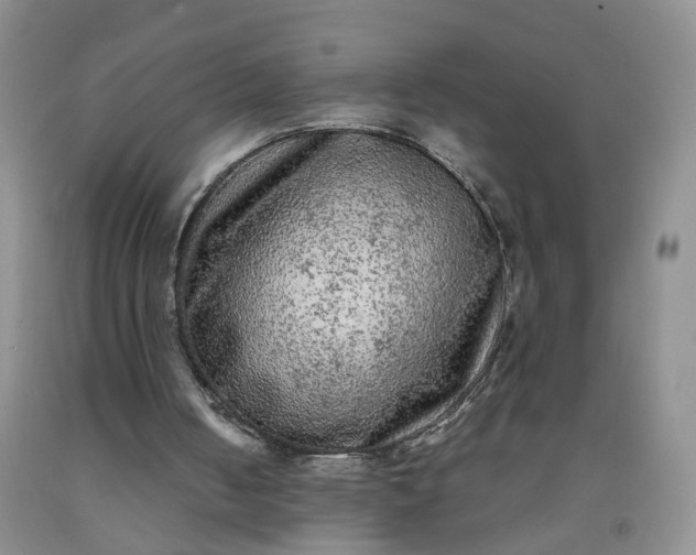 X0000091980050200709201435