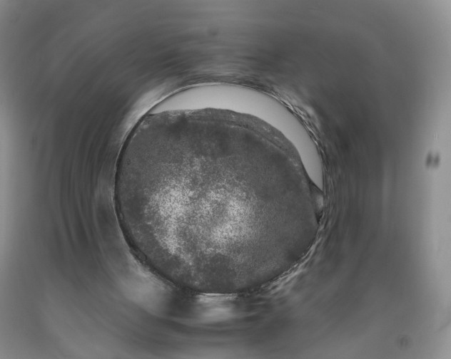 X0000091980051200709201435