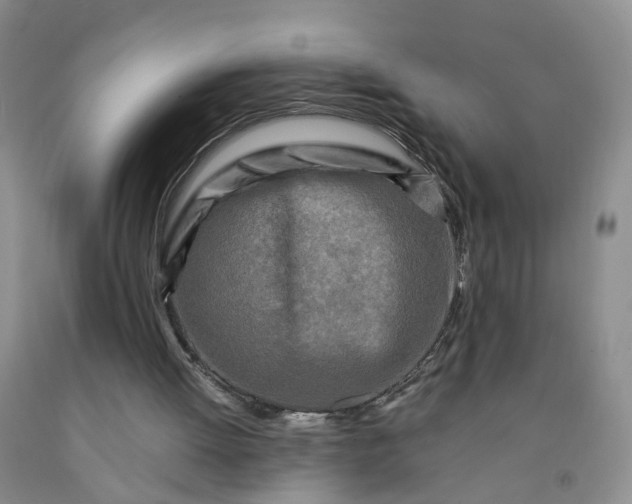 X0000091980052200709201435