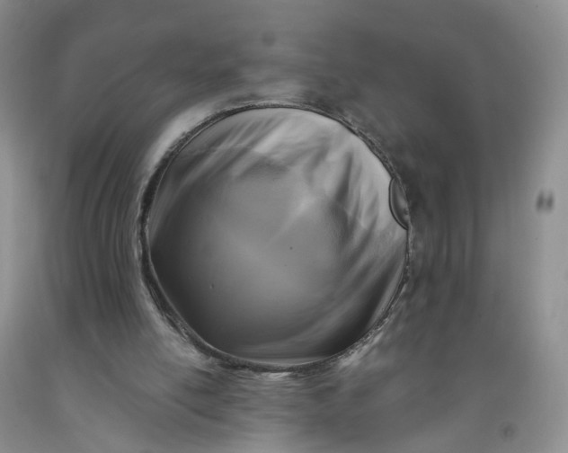 X0000091980054200709201435