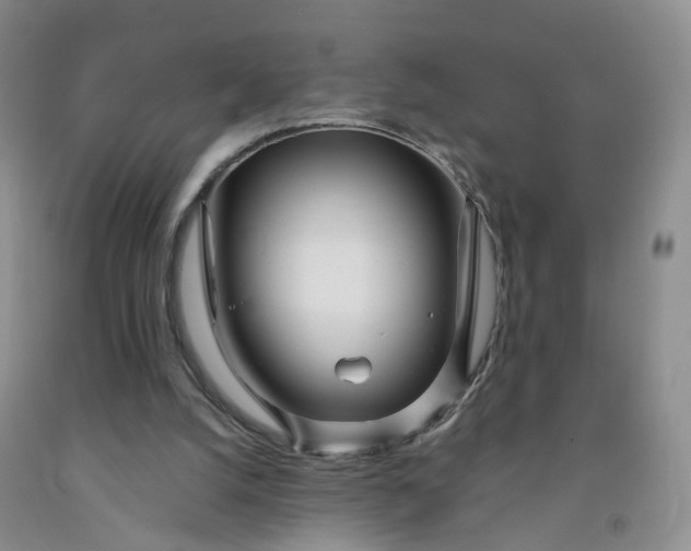 X0000091980056200709201435