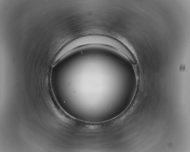 X0000091980057200709201435