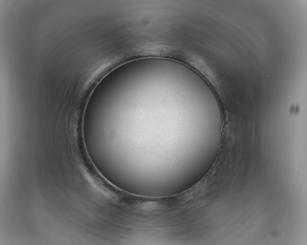 X0000091980058200709201435