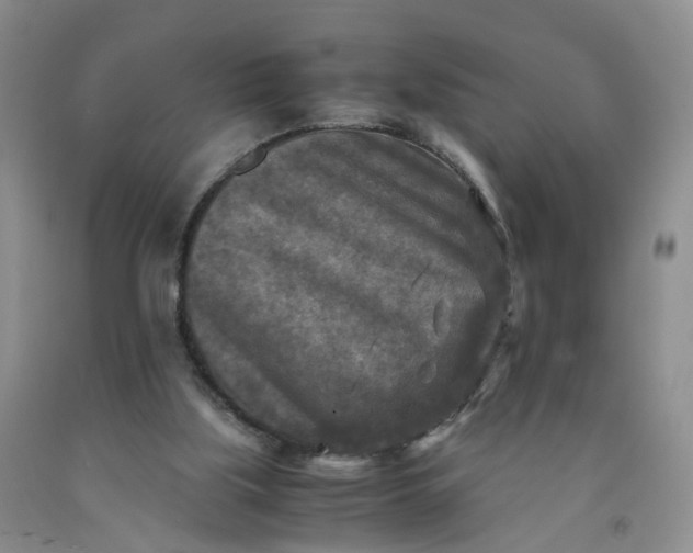 X0000091980059200709201435