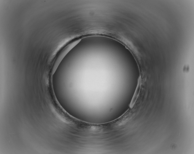 X0000091980060200709201435