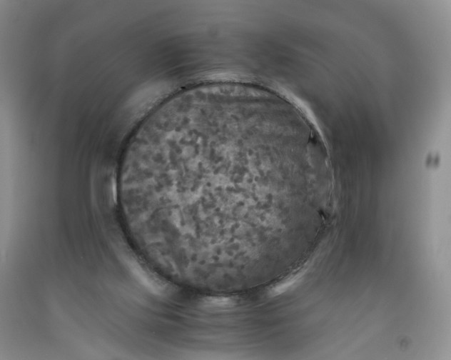 X0000091980061200709201435