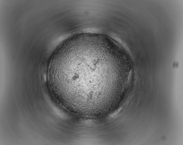 X0000091980062200709201435