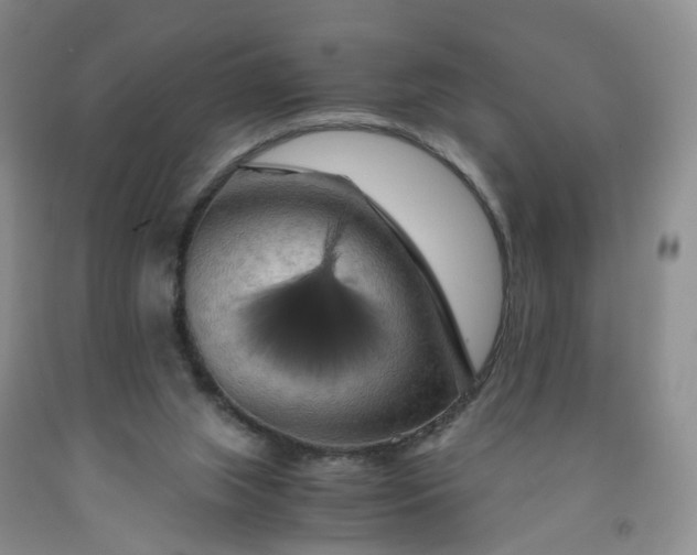 X0000091980063200709201435