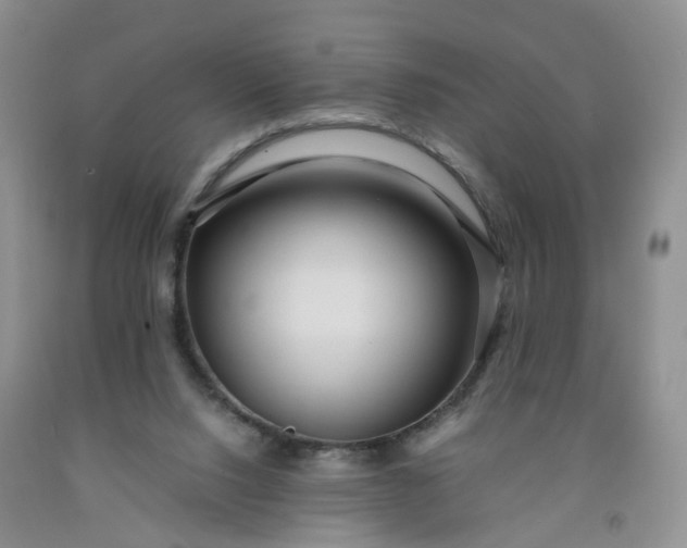 X0000091980064200709201435