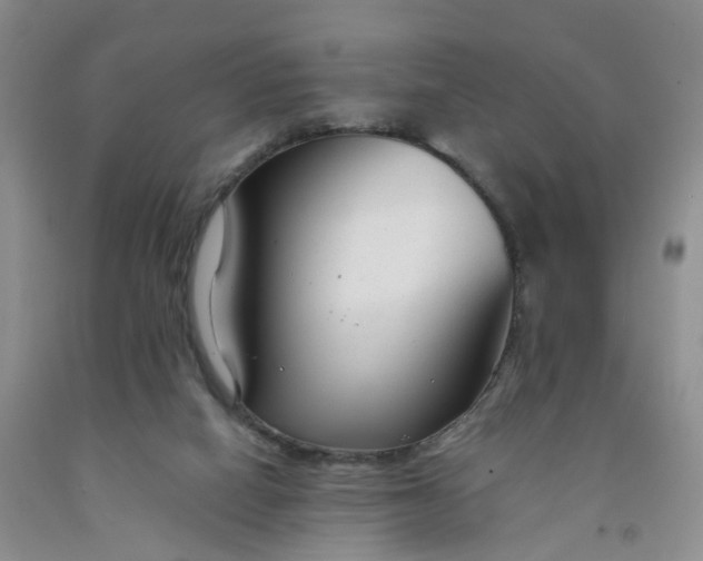 X0000091980066200709201435