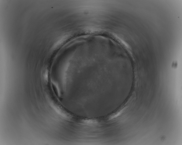 X0000091980067200709201435