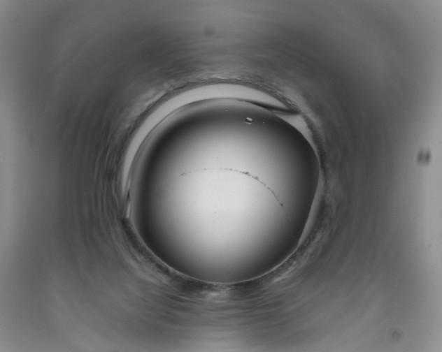 X0000091980068200709201435