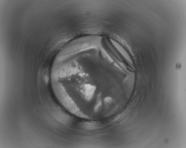 X0000091980069200709201435