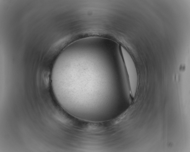 X0000091980070200709201435