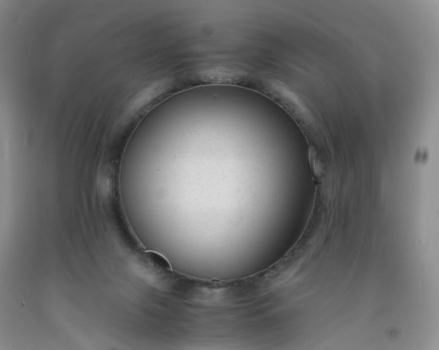 X0000091980071200709201435