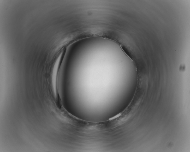 X0000091980072200709201435