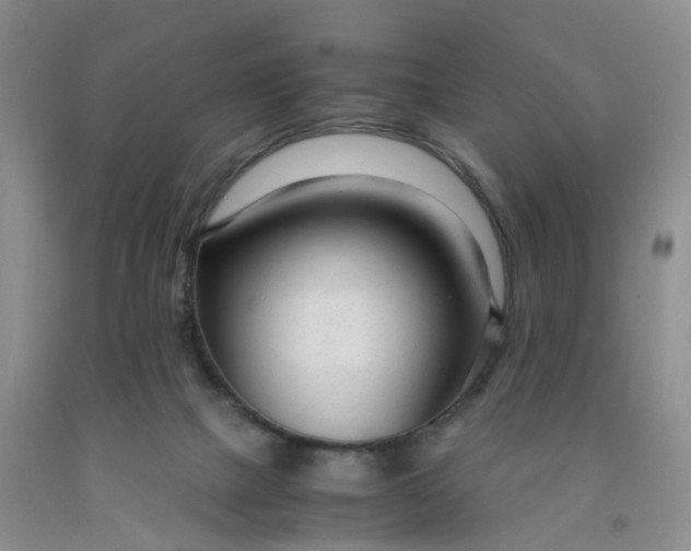 X0000091980073200709201435