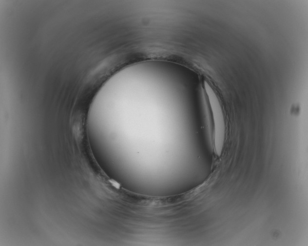 X0000091980074200709201435