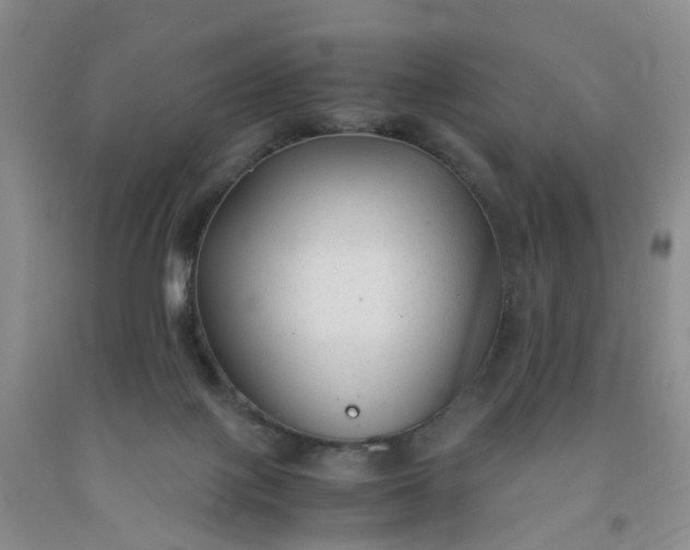 X0000091980075200709201435