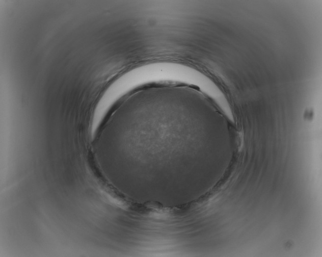 X0000091980076200709201435