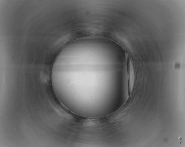 X0000091980077200709201435