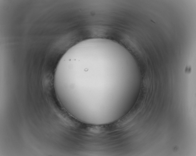 X0000091980079200709201435