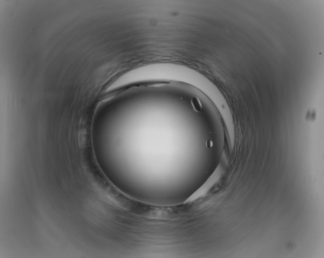 X0000091980080200709201435