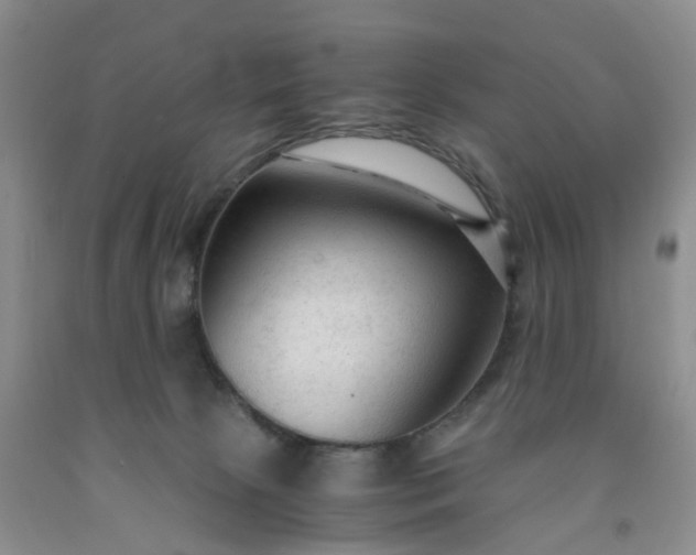 X0000091980081200709201435