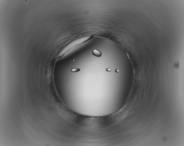 X0000091980082200709201435