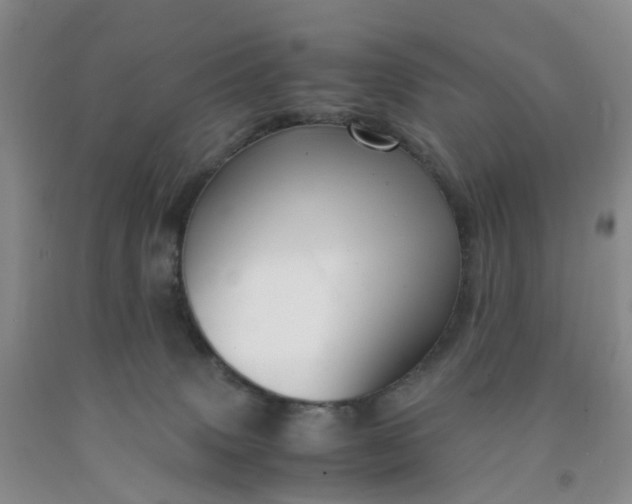 X0000091980083200709201435