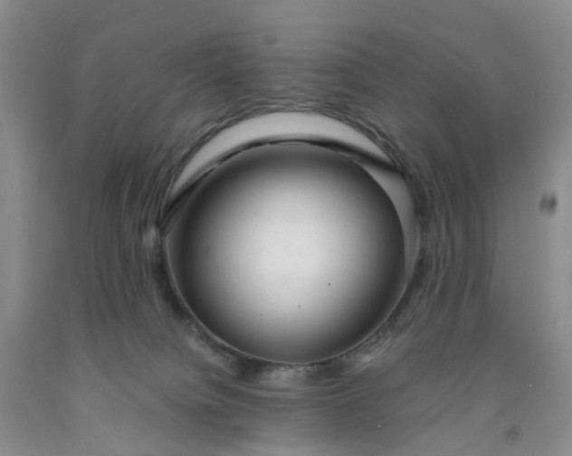 X0000091980084200709201435