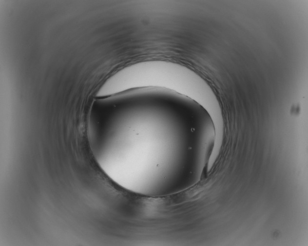 X0000091980085200709201435