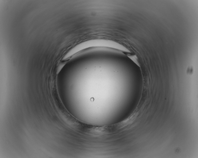 X0000091980086200709201435