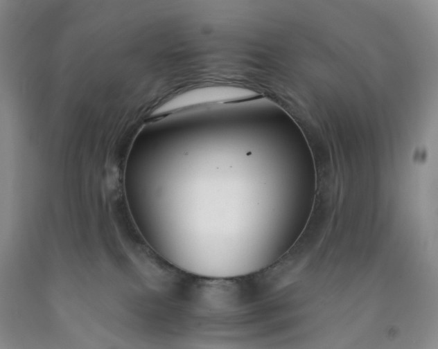 X0000091980087200709201435