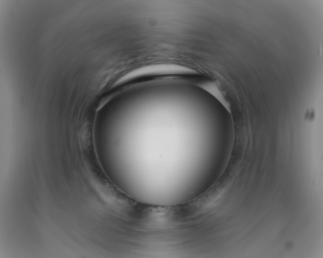 X0000091980088200709201435