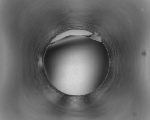 X0000091980089200709201435