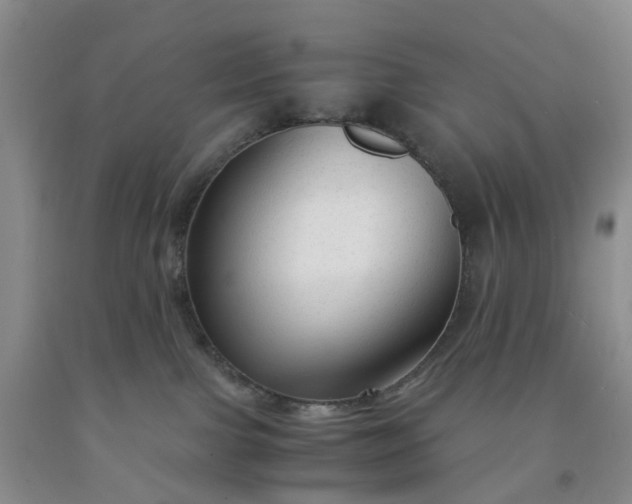 X0000091980091200709201435