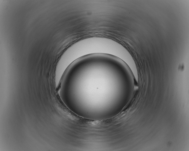 X0000091980092200709201435