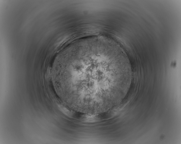 X0000091980093200709201435