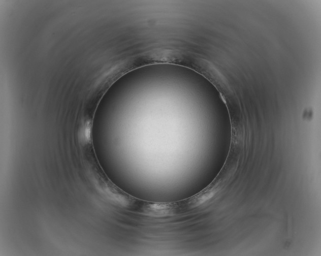 X0000091980095200709201436