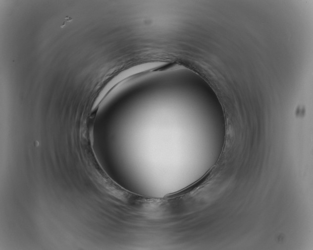 X0000091980096200709201436