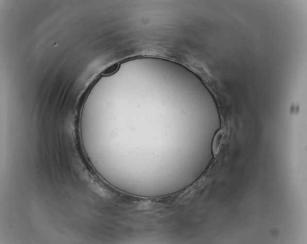 X0000091980098200709201435